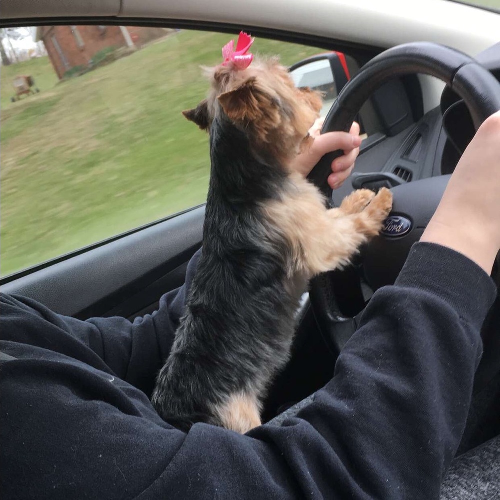 Meet your Posher, Kelli